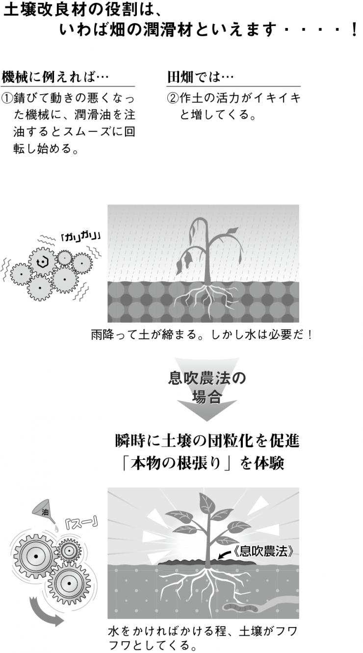 土壌改良材の役割は、いわば畑の潤滑剤といえます…！