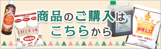 商品のご購入はこちらから